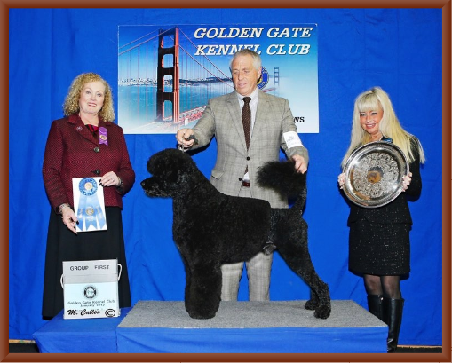 Manly Wins Working Group 1
And Reserve Best In Show 
2017 Golden Gate Kennel Club